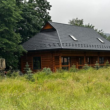 Vila Chalet Pidstromom Mykulyčyn Exteriér fotografie