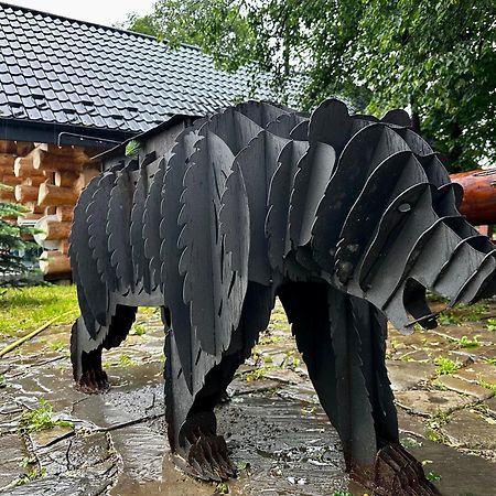 Chalet Pidstromom Mykulyčyn Exteriér fotografie