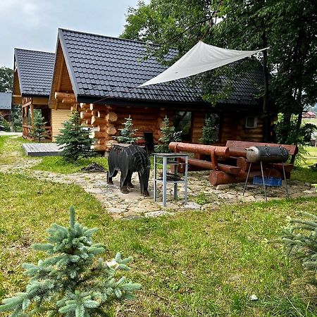 Vila Chalet Pidstromom Mykulyčyn Exteriér fotografie