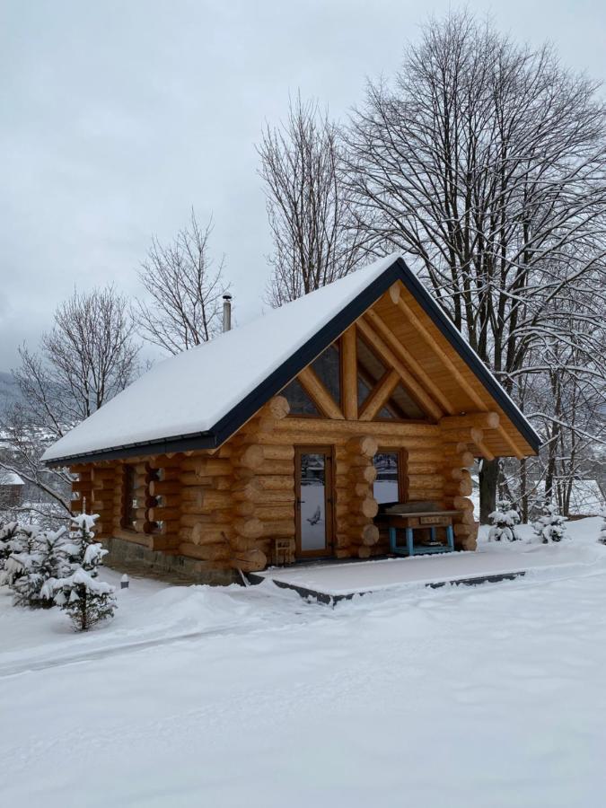 Vila Chalet Pidstromom Mykulyčyn Exteriér fotografie