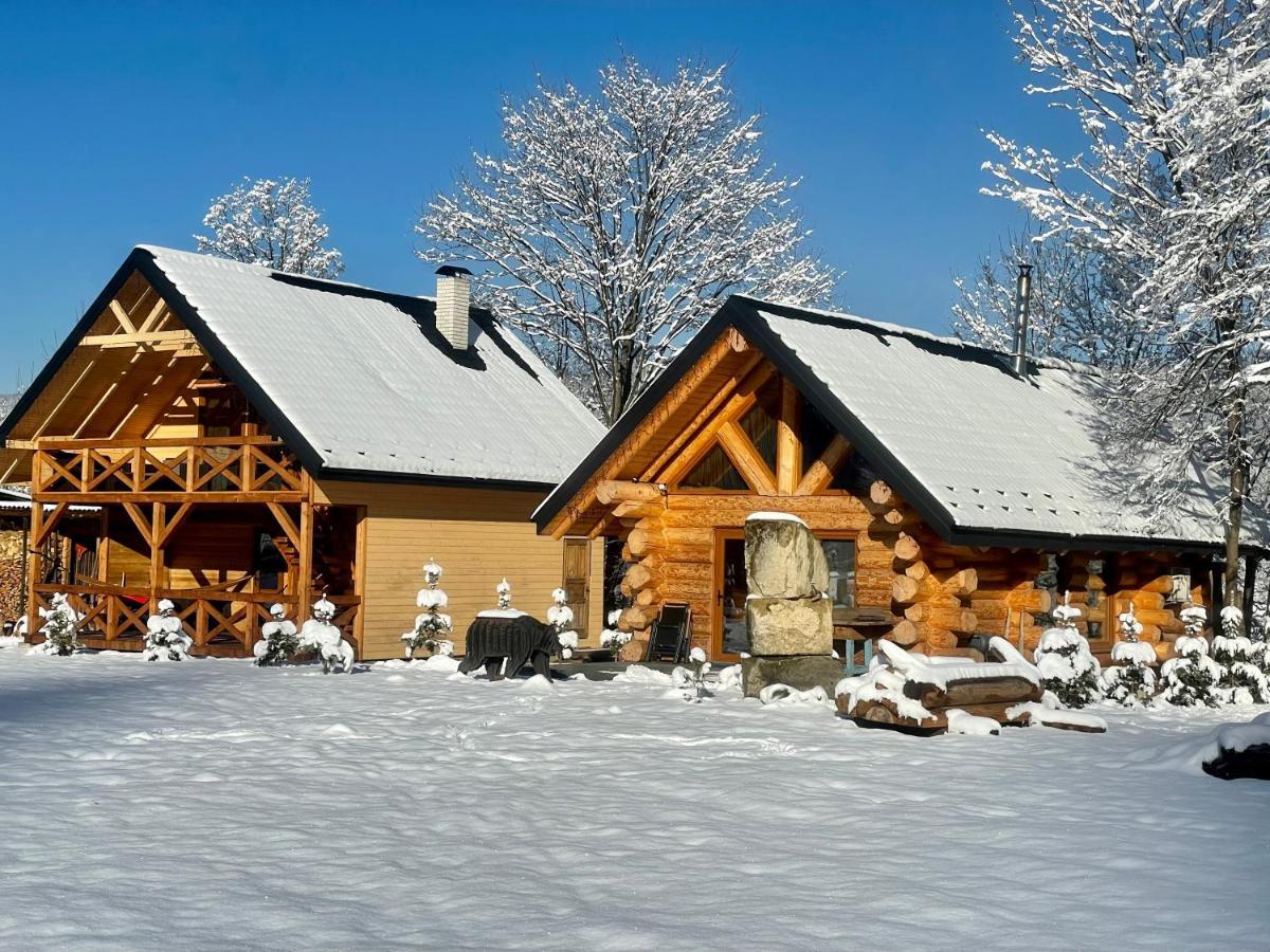 Vila Chalet Pidstromom Mykulyčyn Exteriér fotografie