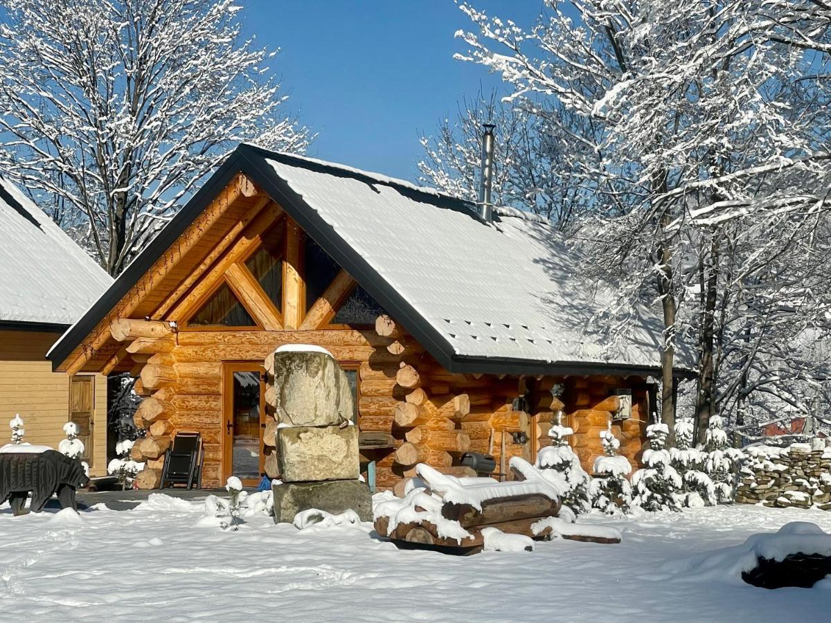 Chalet Pidstromom Mykulyčyn Exteriér fotografie