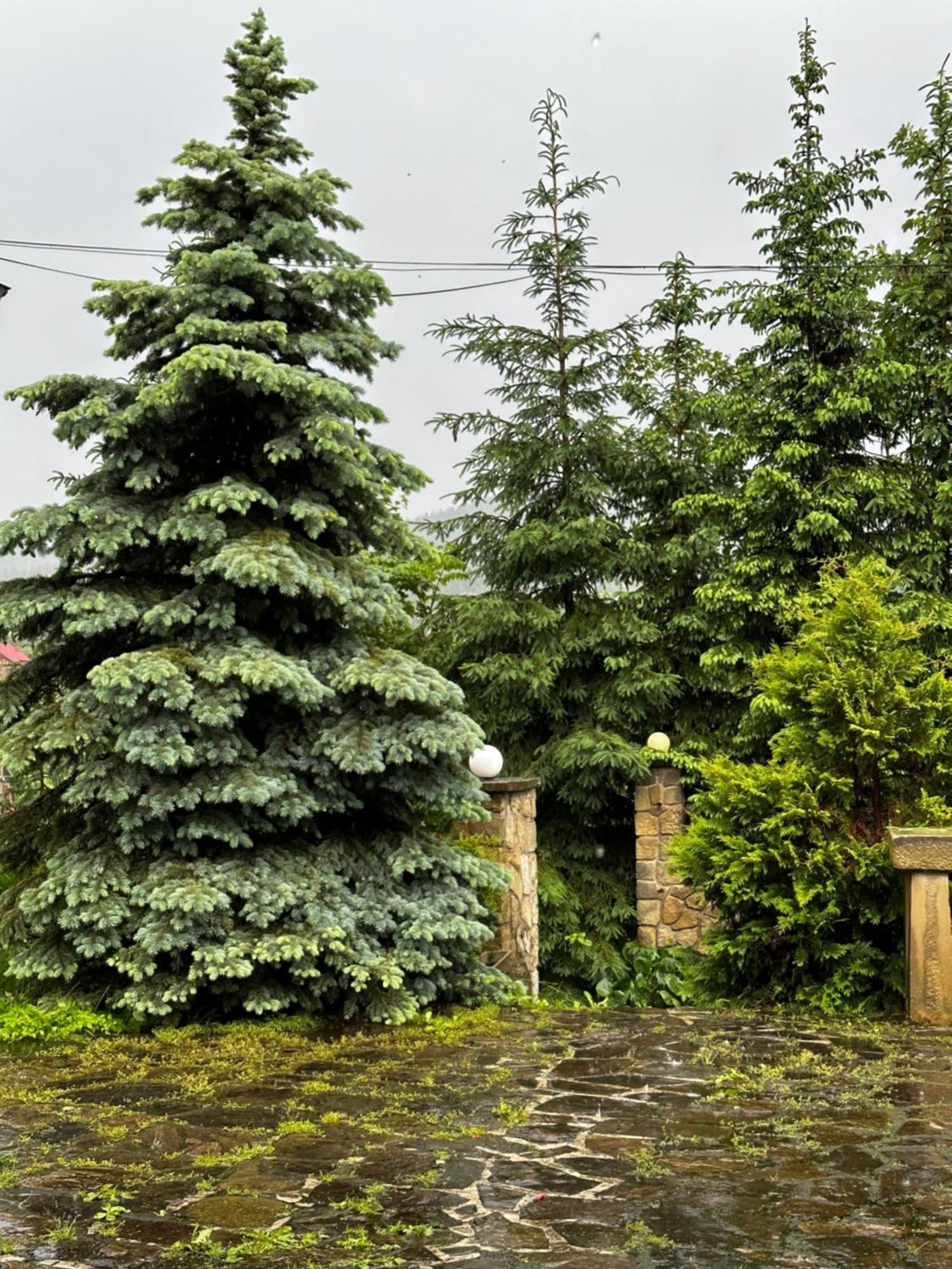 Vila Chalet Pidstromom Mykulyčyn Exteriér fotografie